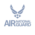 Air National Guard logo on transparent background