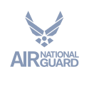 Air National Guard logo on transparent background